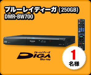ブルーレイディーガ (250GB)  DMR-BW700